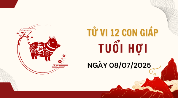 Tuổi Hợi Hôm Nay - Tử vi tuổi Hợi ngày 8-7-2025