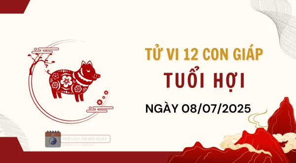 Tuổi Hợi Hôm Nay - Tử vi tuổi Hợi ngày 8-7-2025
